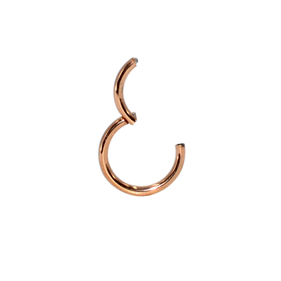 40pcs/Box G23 Titanium Septum  - Body Jewelry Jewelry Box ulasan dan harga